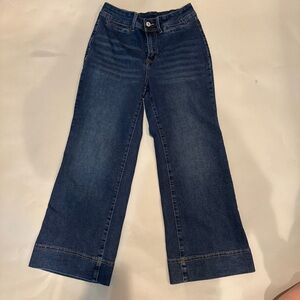 Stylish Indigo Cropped Jeans